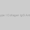 Mouse Anti-Porcine Type I Collagen IgG Antibody Assay Kit, TMB